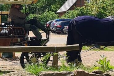 Mystische Kutschfahrt & Charity-Event – Unterstütze die Pferdeklappe und erlebe einen magischen Tag in der Heide!